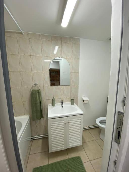 House Apartment In Timişoara Exterior foto